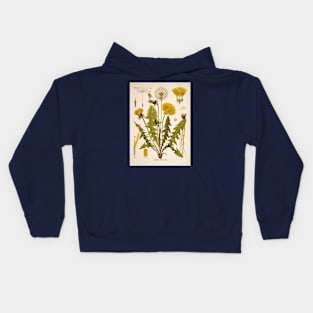 Dandelion Flower Growth Phases Kids Hoodie